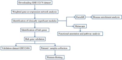 Weighted gene co-expression identification of CDKN1A as a hub inflammation gene following cardiopulmonary bypass in children with congenital heart disease